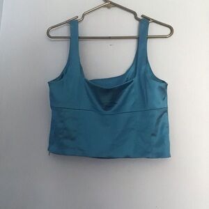 Aritzia Wilfred Shine Bustier Crop Tank Blue